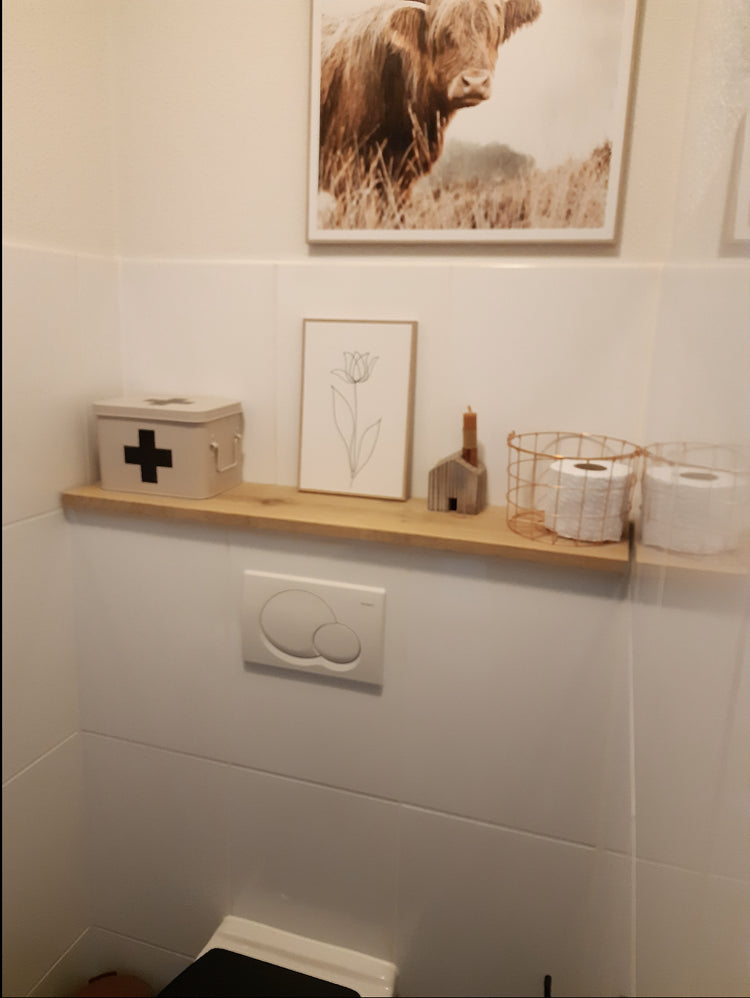 toiletplank